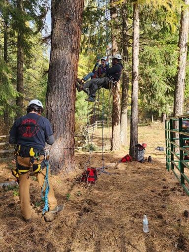 Arborists performing an aerial tree rescue using ropes and climbing gear in a North Idaho forested property