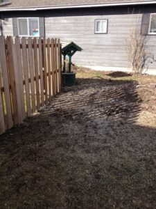 Freshly ground tree stump area ready for lawn restoration in Sandpoint, North Idaho.
