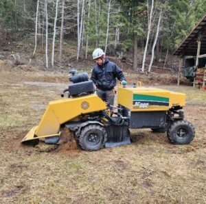Stump Grinding in Sandpoint Idaho