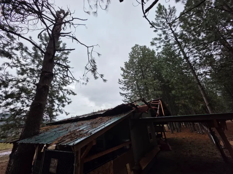 Arborist removing storm-damaged tree next to building in North Idaho