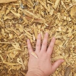 Approximate size of wood chips used for mulch.